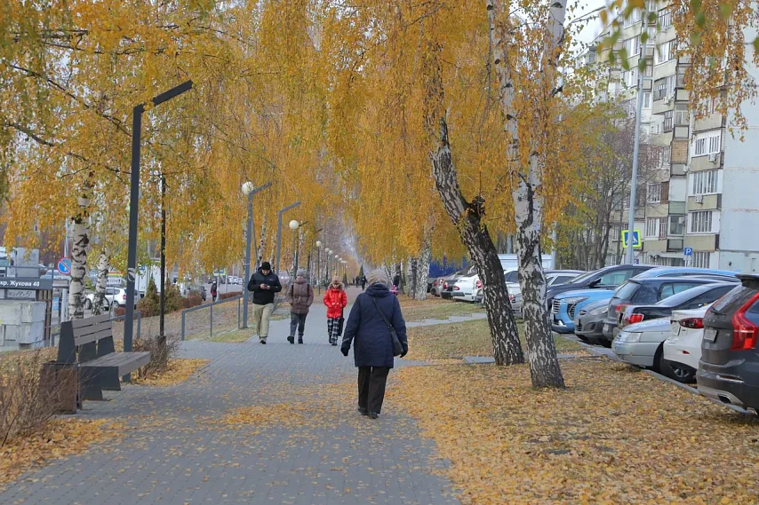 Новые законы ноября–2025: что ждёт старооскольцев и всех россиян