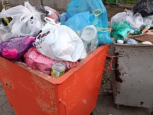 Почти 278 кг мусора накапливает каждый житель Белгородской области за год