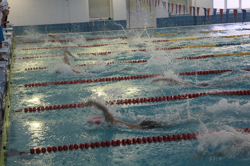 Спортсмены Старого Оскола завоевали 16 медалей в чемпионате Белгородской области по плаванию