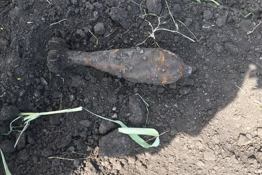 Еще одну миномётную мину обнаружили в Старом Осколе в парке Зелёный Лог