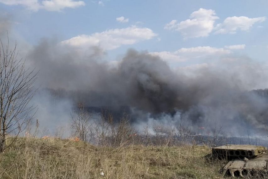 С жителя Белгородской области требуют заплатить 17 млн рублей за сгоревшее поле