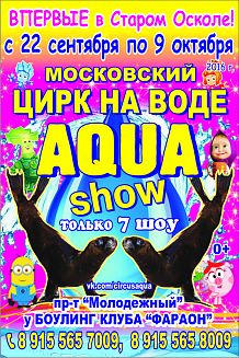 Московский цирк на воде «Aqua show»