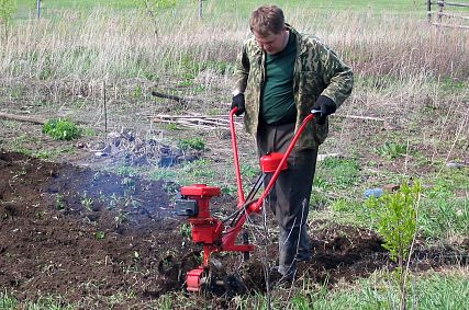 Всех российских дачников внесут в реестр