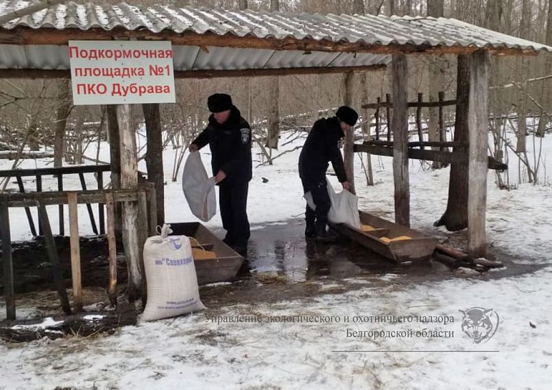 каталог Старый Оскол