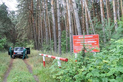 Лесничие Старого Оскола рассказали об охране лесов и об отношении отдыхающих к природным богатствам
