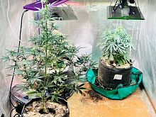 Полицейские накрыли подпольный цех по производству наркотиков в жилом доме в Старом Осколе