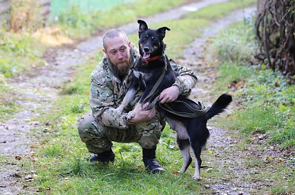 Старооскольцы могут взять домой надёжного друга