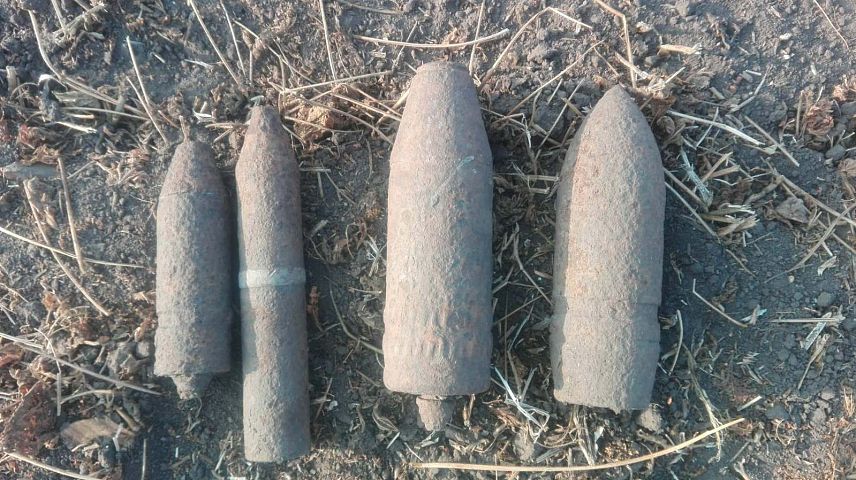 В Белгородской области взрывотехники ликвидировали 17 боеприпасов времён Великой Отечественной войны