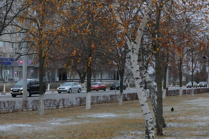 Оборот старооскольских компаний снизился на 5,3%