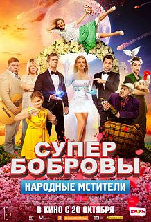 СуперБобровы: народные мстители