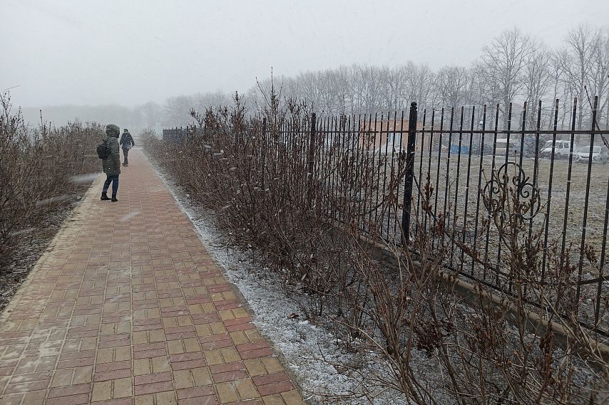 В Белгородской области обещают осадки, гололёд и туман 