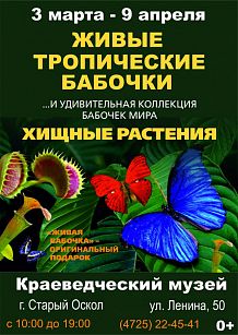 Живые тропические бабочки и удивительная коллекция бабочек мира. А также хищные растения