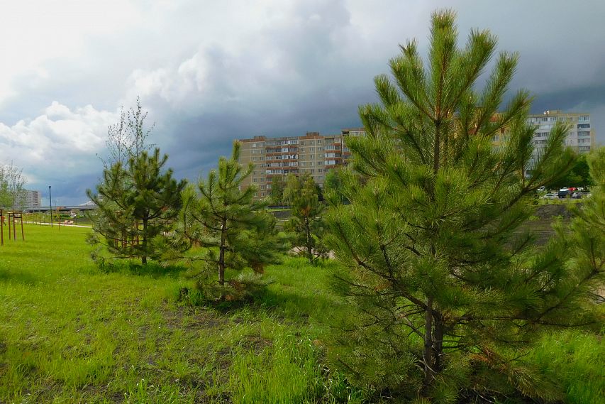 Белгородская область заняла второе место в национальном экологическом рейтинге