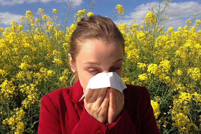 Аллергия: как не допустить сезонное обострение