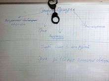 Мошенники незаконно приватизировали и продали муниципальную квартиру в Старом Осколе
