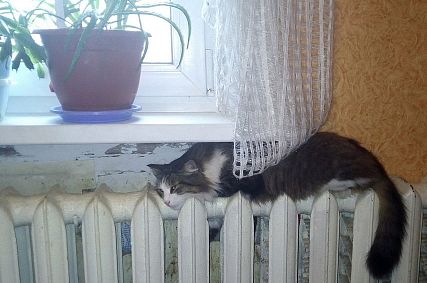 Отопительный сезон в Белгородской области главам рекомендуют продлить как минимум до 15 апреля