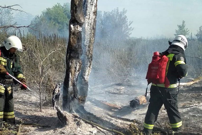 В Старооскольском округе увеличилось количество ландшафтных пожаров