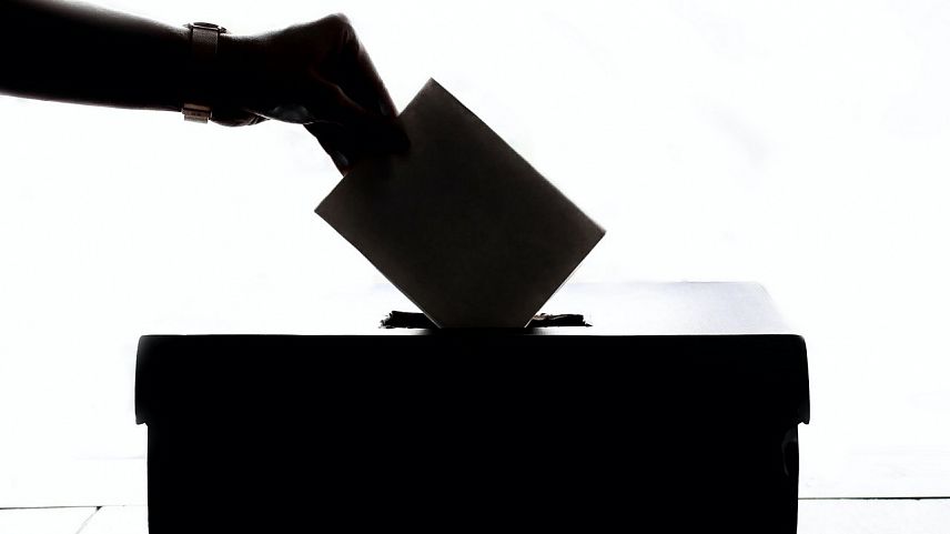 Явка на выборах в Старом Осколе составила 19,4%