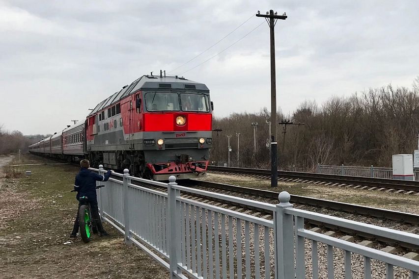 Краснодар старый оскол поезд