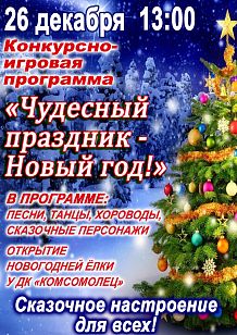 «Чудесный праздник - Новый год!»