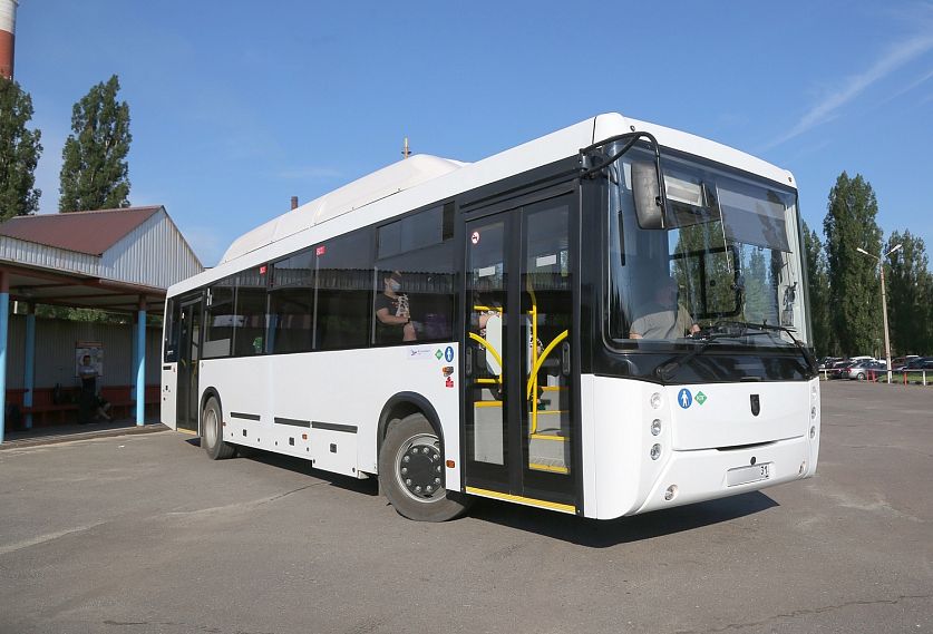 12 новых больших автобусов выдут на маршруты в Старом Осколе