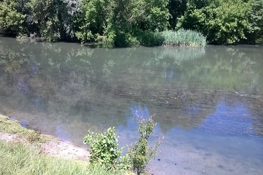 Водоканал обязали заплатить 128 млн рублей за загрязнение реки Оскол