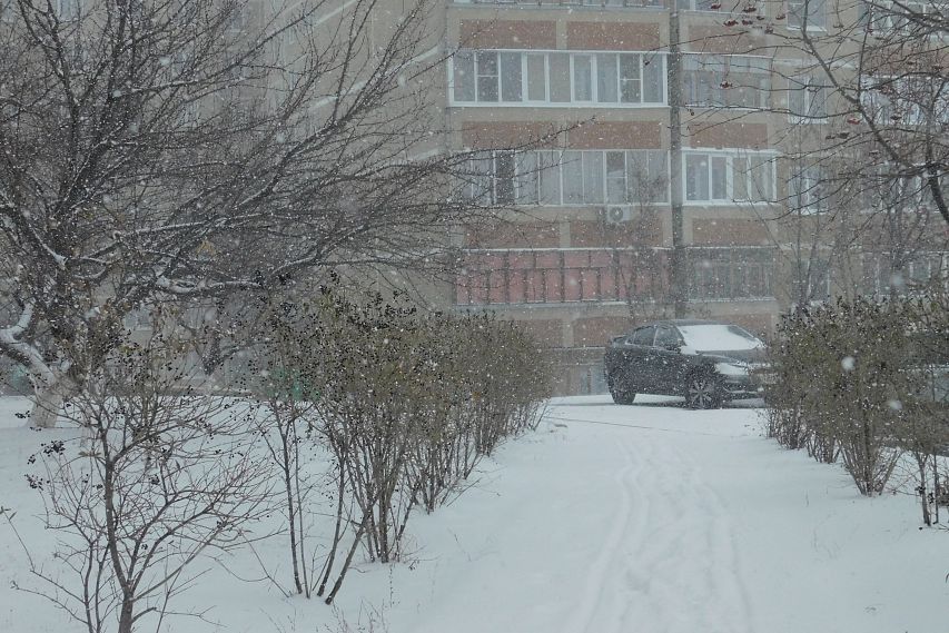 Сейчас погода в оскол. Климат старый Оскол Белгородская область. Белгородская область снегопад. Погода старый Оскол. Погода старый Оскол сегодня.