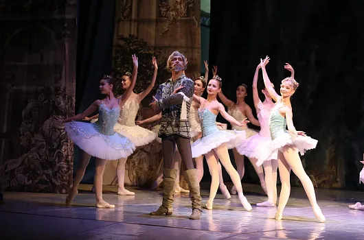 Московский театр классического балета подарил старооскольцам «Дон Кихота»