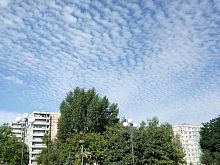 Лето возвращается в Старый Оскол
