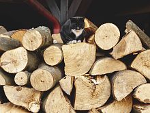В Старом Осколе перевыполнили план по заготовке дров для домов с печным отоплением 