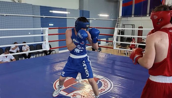 Областной турнир по боксу среди юношей и юниоров в Старом Осколе