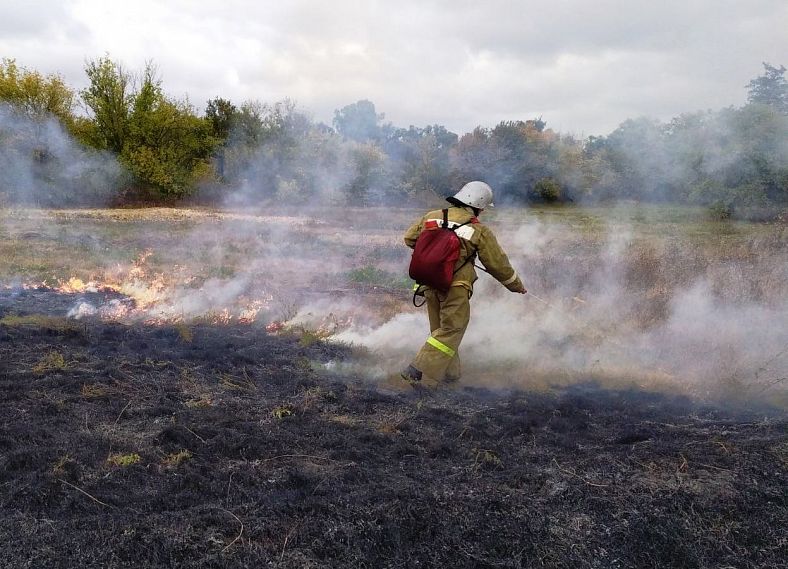 За сутки в Белгородской области ликвидировано 28 ландшафтных пожаров