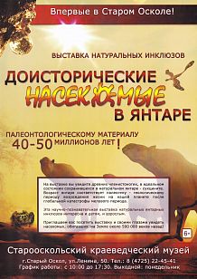 Выставка натуральных инклюзов «Доисторические насекомые в янтаре»