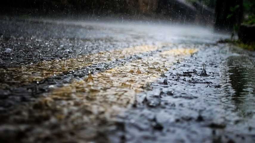 Жителей Белгородской области предупредили о дождях и похолодании