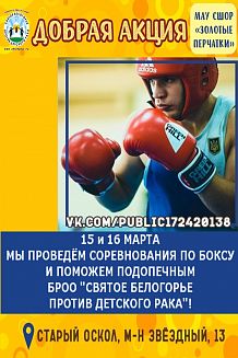 Благотворительный турнир по боксу