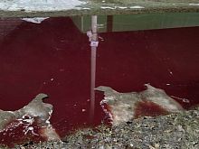 Мясокомбинат залил дорогу в старооскольском селе резко пахнущей красно-коричневой жидкостью