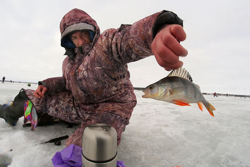 рыбалка в старом осколе зимой видео