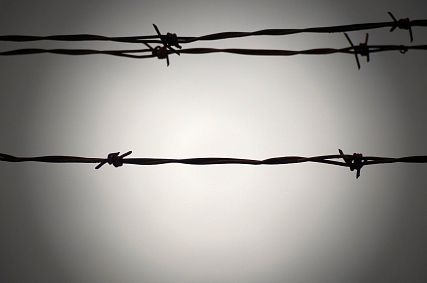Трёх граждан Украины обвиняют в убийстве водителя большегруза в Старом Осколе