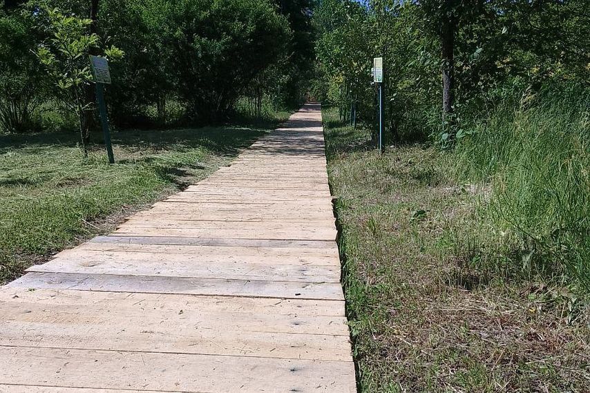 В старооскольском дендропарке проложат экотропы для посетителей
