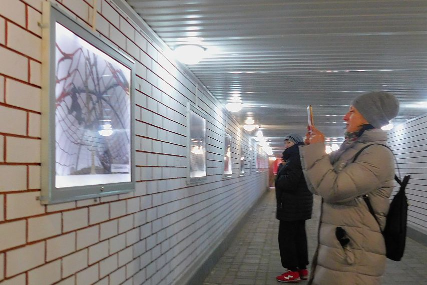 В Старом Осколе команда Free Gallery обновила галерею в подземном переходе