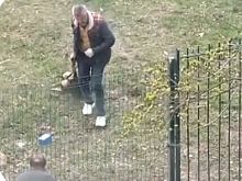 Жители Старого Оскола пожаловались на жестокий отлов собаки на глазах у детей