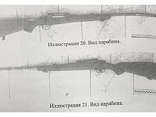 Незаконная охота обернулась для старооскольца штрафом в полмиллиона и изъятием оружия