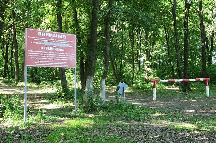 Продлены ограничения по пребыванию в лесах Белгородской области