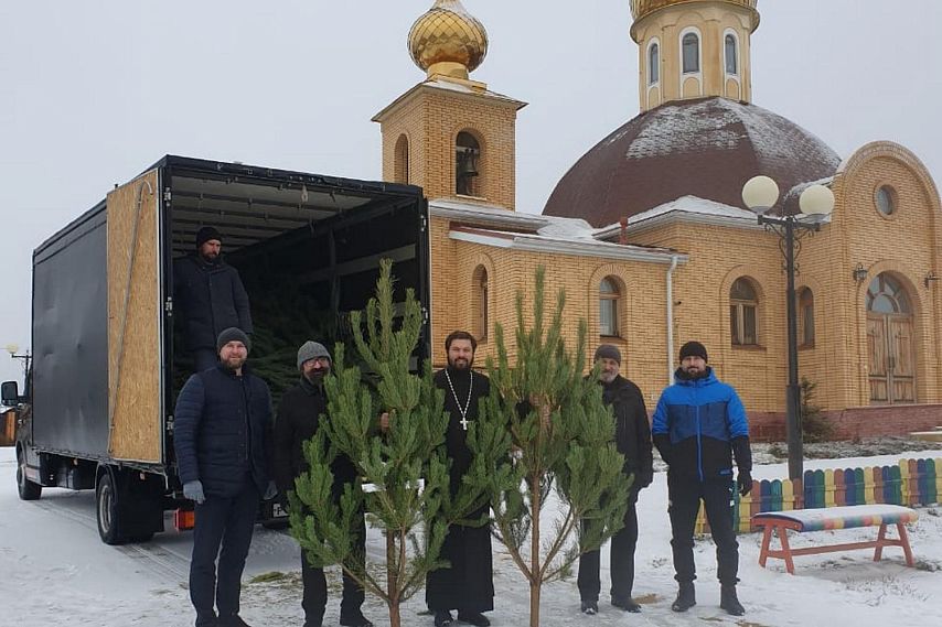 В Старом Осколе льготным категориям семей бесплатно раздадут новогодние ёлки 