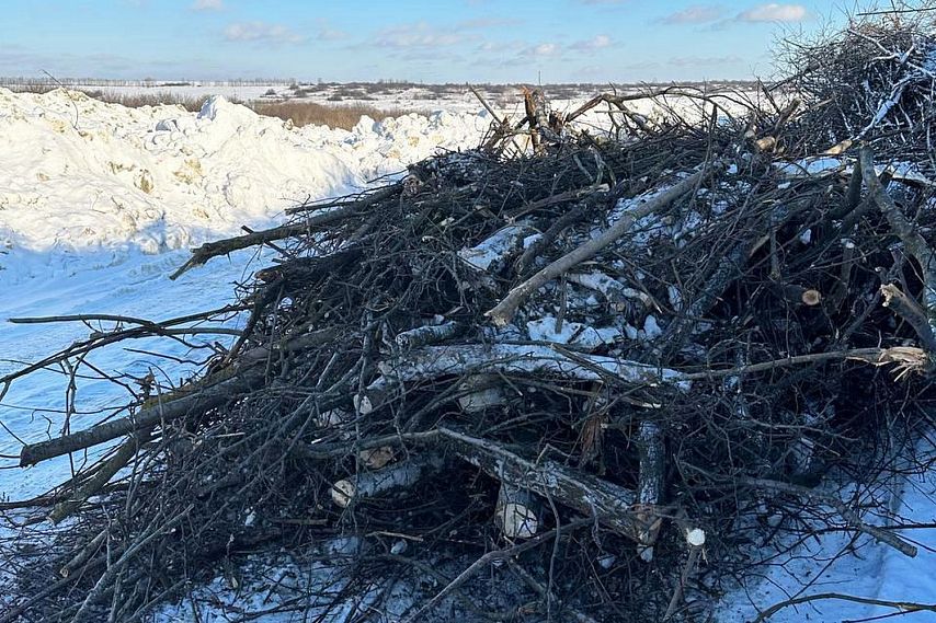 стакс старый оскол