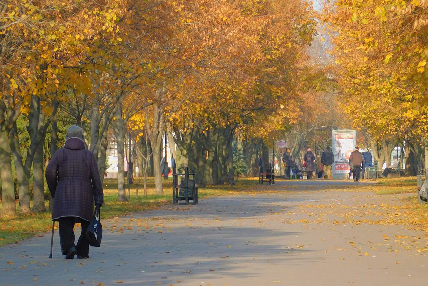В Белгородской области граждан старше 65 лет обязали перейти в режим самоизоляции, но разрешили заниматься спортом