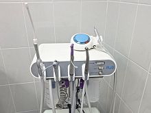 В Старом Осколе стартовал проект по стоматологической помощи домашним животным