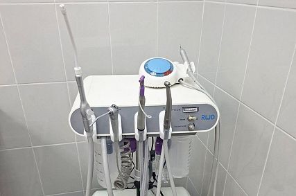 В Старом Осколе стартовал проект по стоматологической помощи домашним животным
