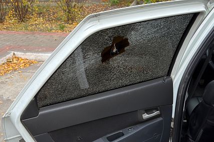 Полиция отказалась возбуждать уголовное дело после выстрела в машину старооскольца