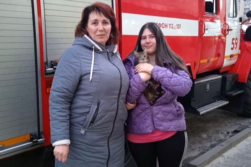 Пожарные спасли домашнюю кошку в Старом Осколе